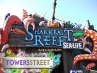 Sharkbait Reef