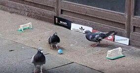 1000016036.jpg