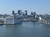 IMG_6549.jpeg