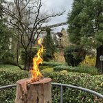 IMG_8342.jpeg