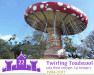 22 Twirling Toadstool.jpg