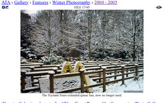 IMG_8754.jpeg