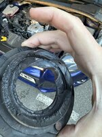 IMG_6153.jpeg