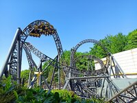 IMG_20250513_125159.jpg