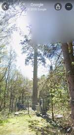 IMG_9064.jpeg