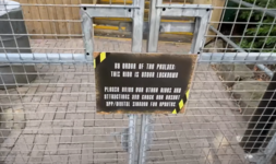 1750101945846.png