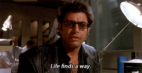 A74697FE-0E15-4C22-AECF-328ADC82A537.gif