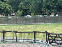 IMG_5701.jpeg