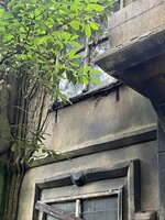 IMG_5757.jpeg IMG_5757.jpeg