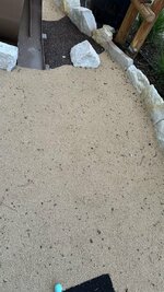 IMG_1630.jpeg