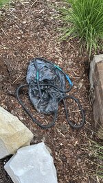 IMG_1641.jpeg