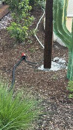 IMG_1632.jpeg