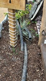 IMG_1623.jpeg