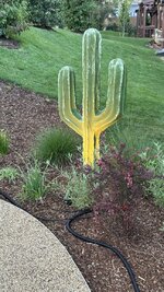 IMG_1639.jpeg
