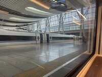 IMG_7654.JPEG