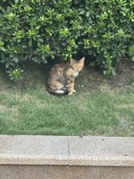 IMG_7696.JPEG