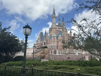 IMG_7708.JPEG
