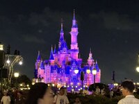 IMG_7784.JPEG