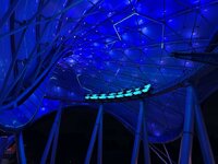 IMG_7800.JPEG