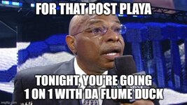 Flume Duck.jpg