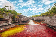 Cano Cristales 2.jpg