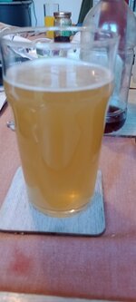 IMG_20230419_190503405_MFNR.jpg