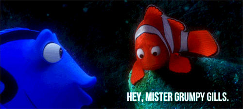 9d7e09a497ad9c0f2d2985d65c82fb27.gif