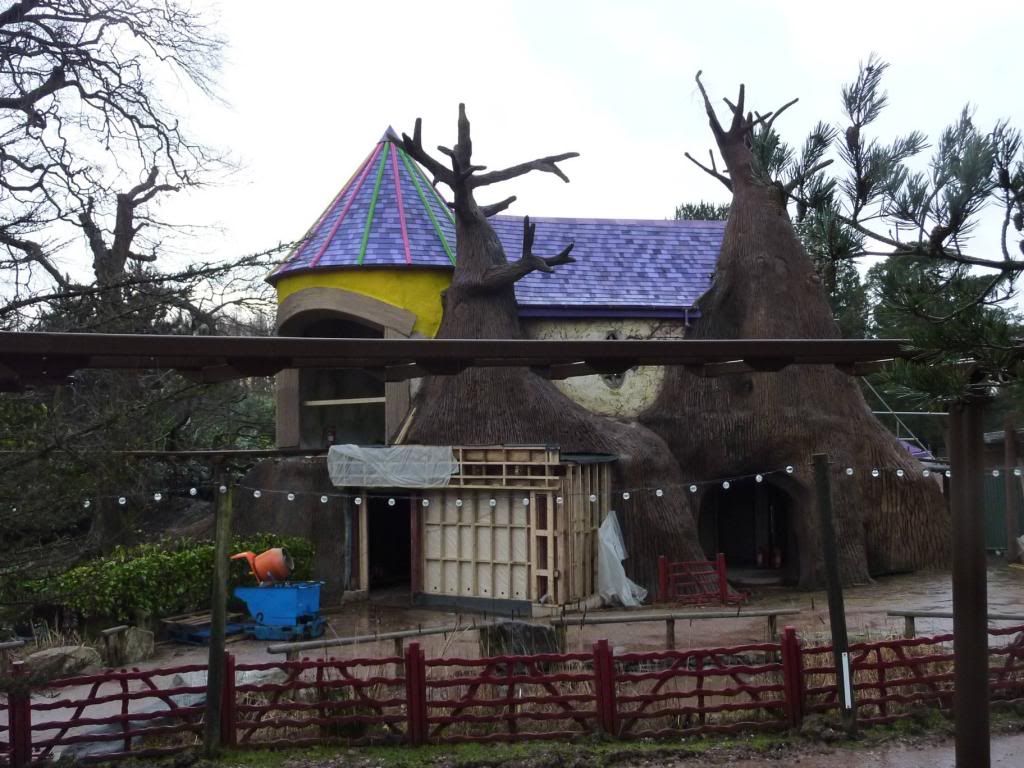 P1170081_zps4daac4b0.jpg