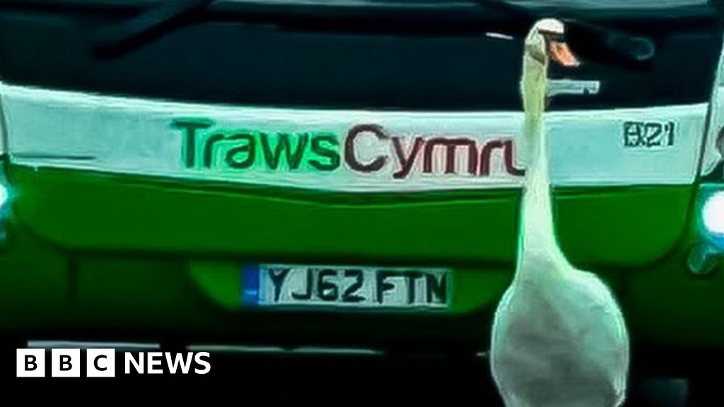 www.bbc.co.uk