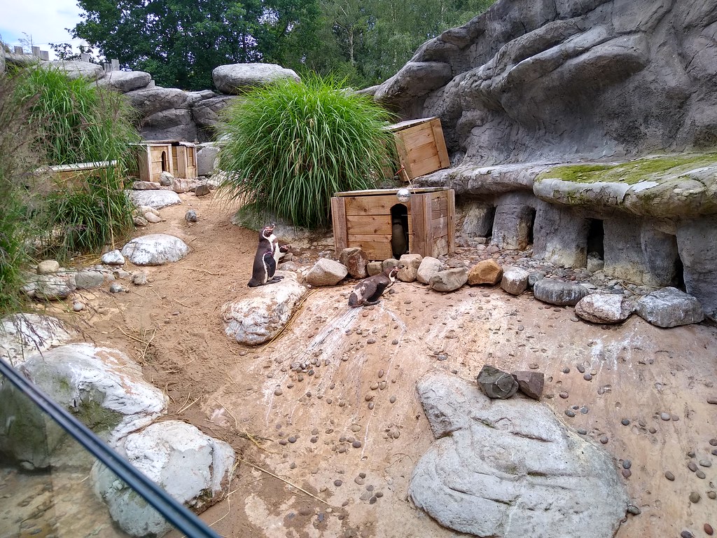51309516794_31f34e420f_b.jpg