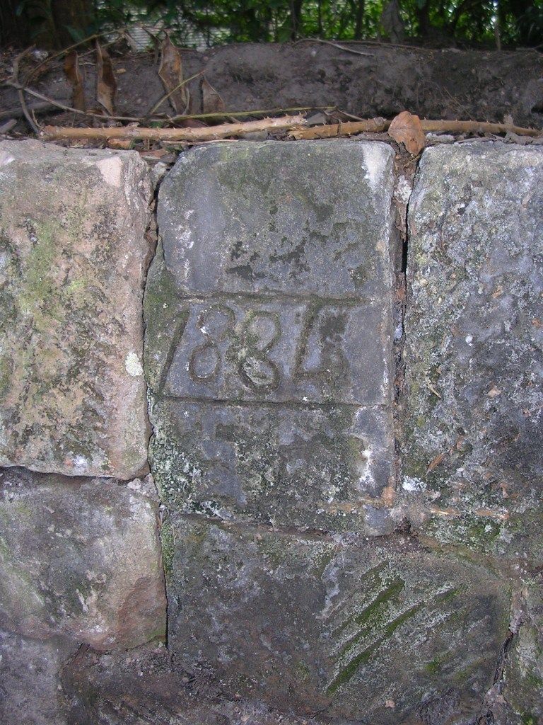 DSCN1501.jpg