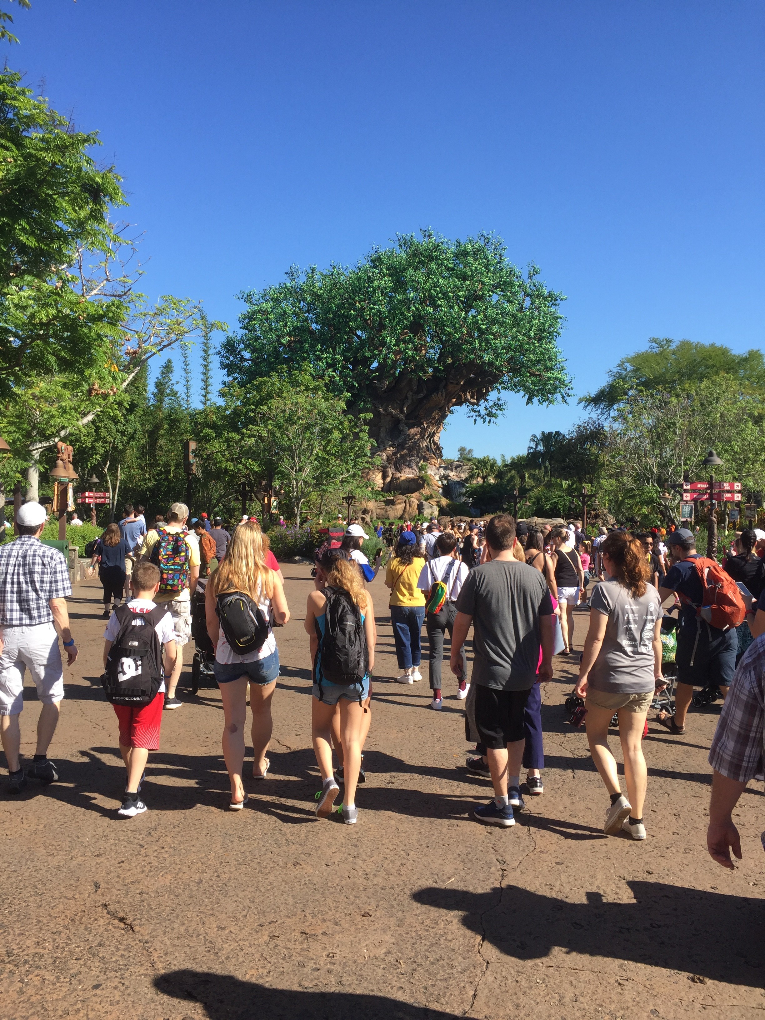 E8-E463-CF-E2-D7-452-F-AA5-C-717-FC887-F59-C.jpg