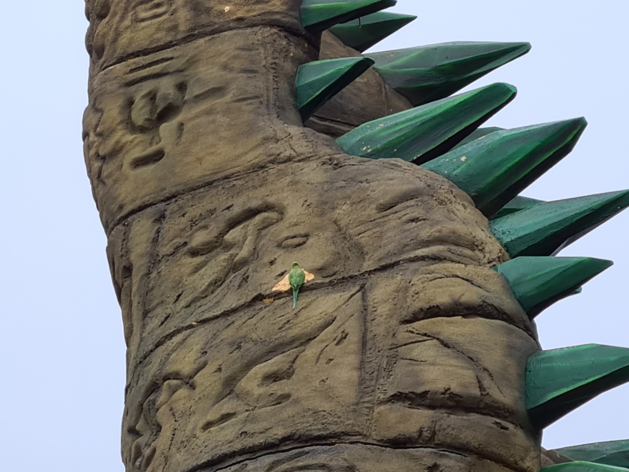crocdrop-parakeet.jpg