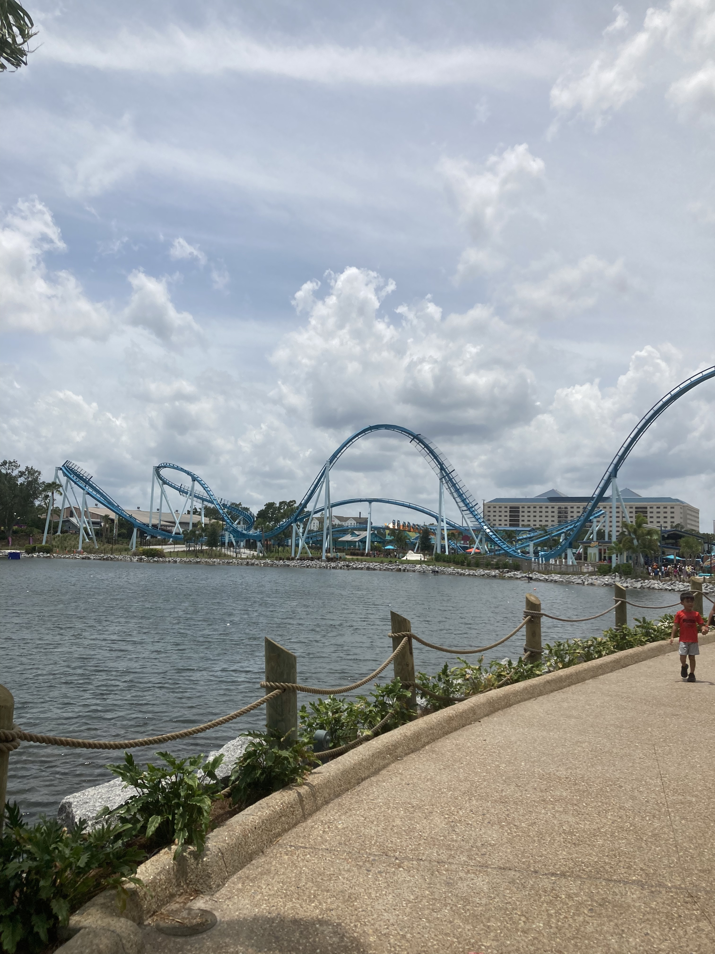 5-D9141-EA-F16-B-48-AE-B959-3314-B9-F8-D44-C.jpg