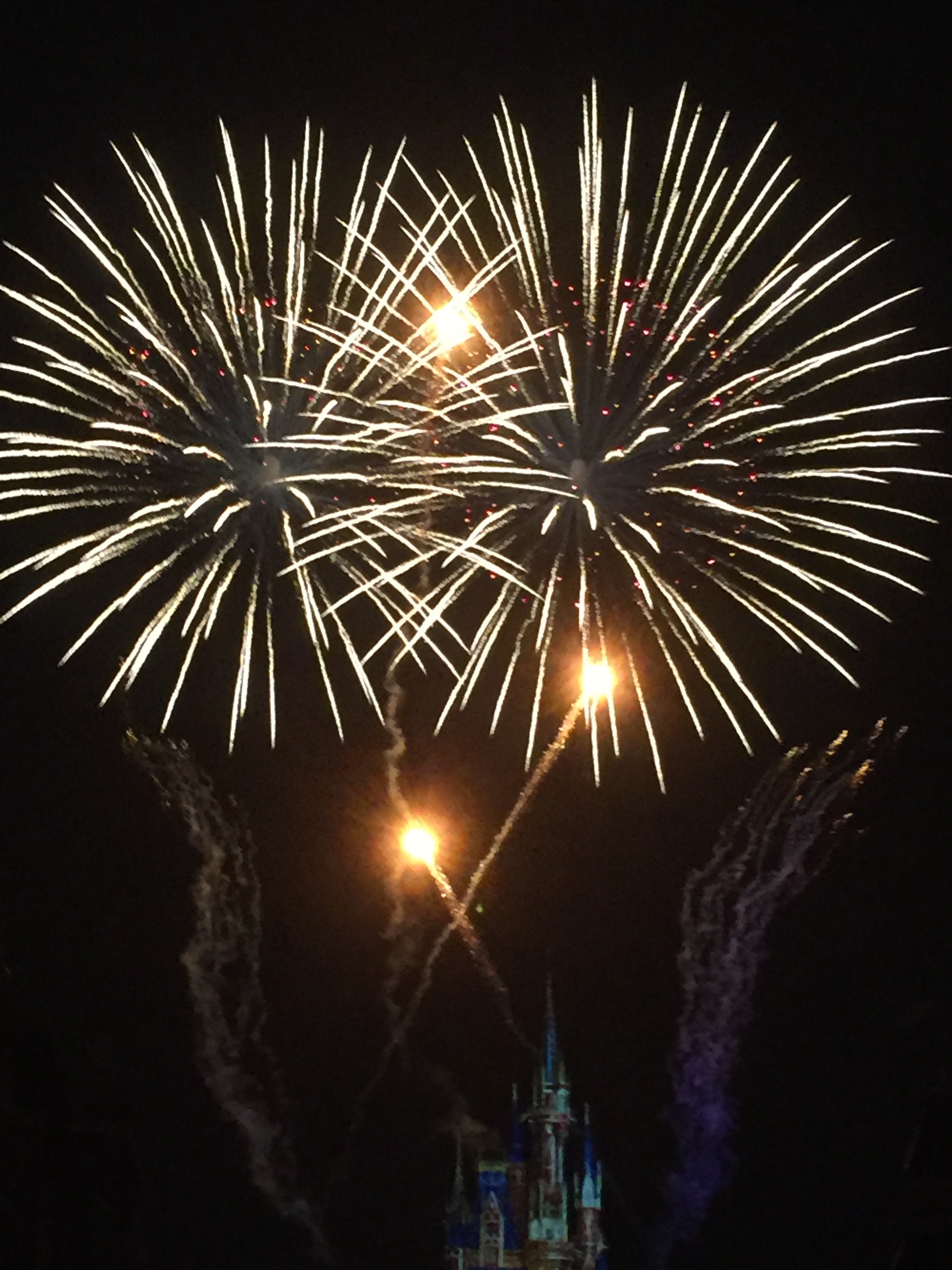 618837-AC-EA06-49-B1-A550-B570-D6-B5-D90-F.jpg