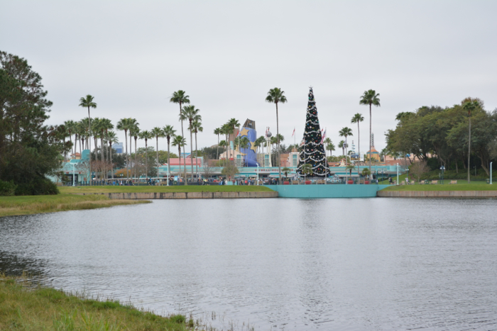 DSC_0232.jpg