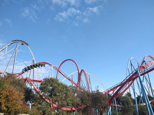 IMG-20211018-171427162.jpg