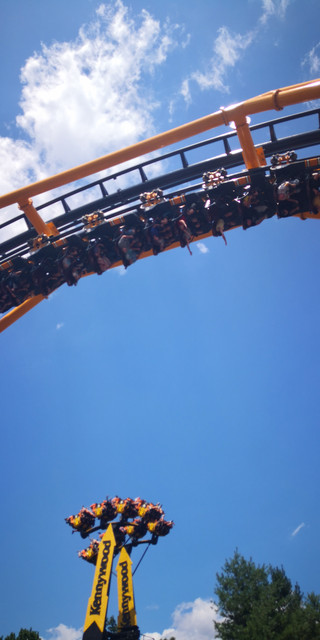 IMG-20190810-133918.jpg