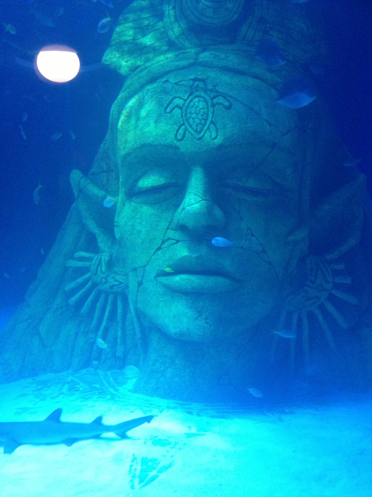8988453584_58900a82c7_b.jpg
