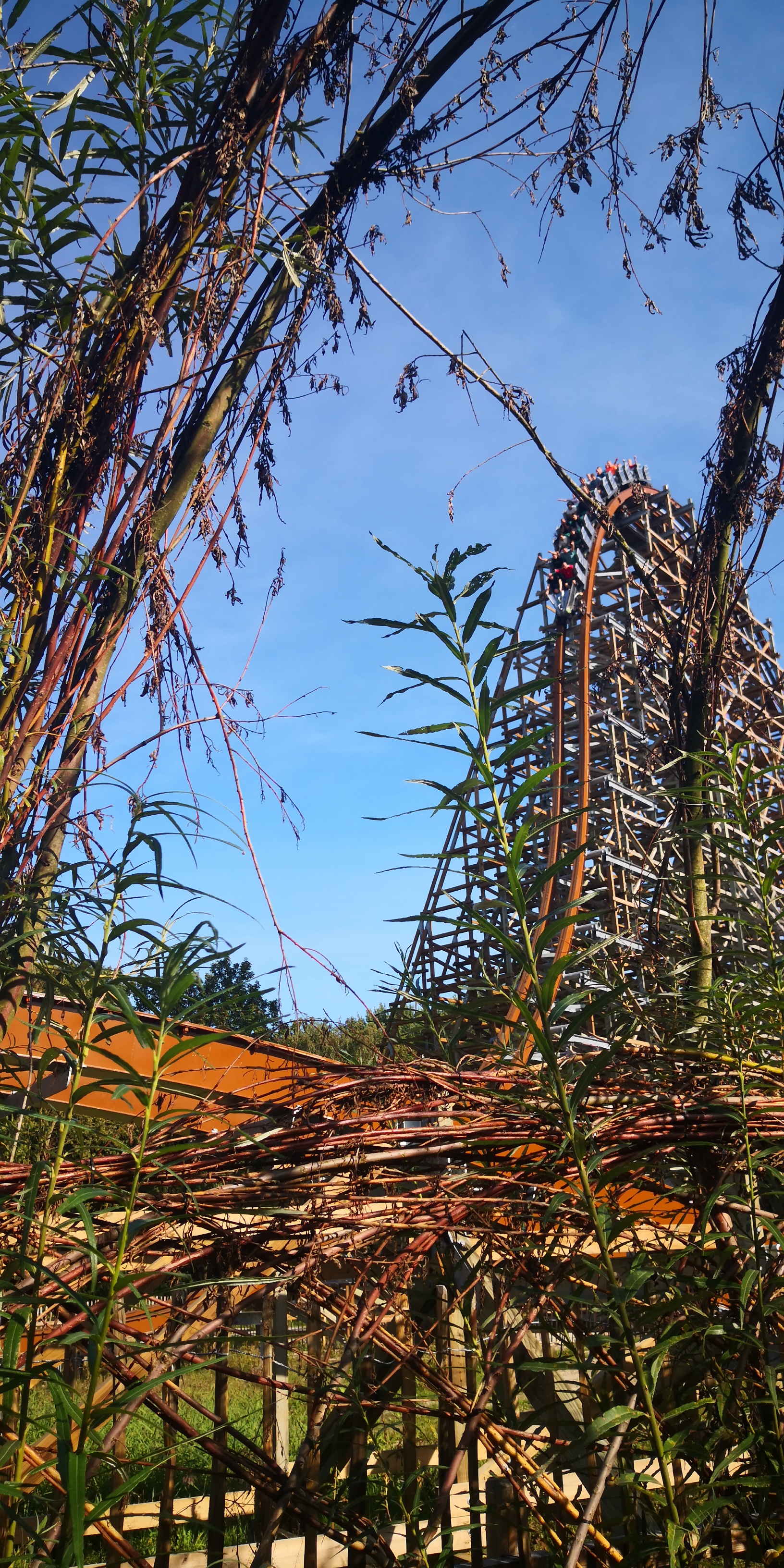 IMG-20190914-163114.jpg