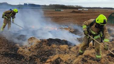 _111181483_fieldfire.jpg