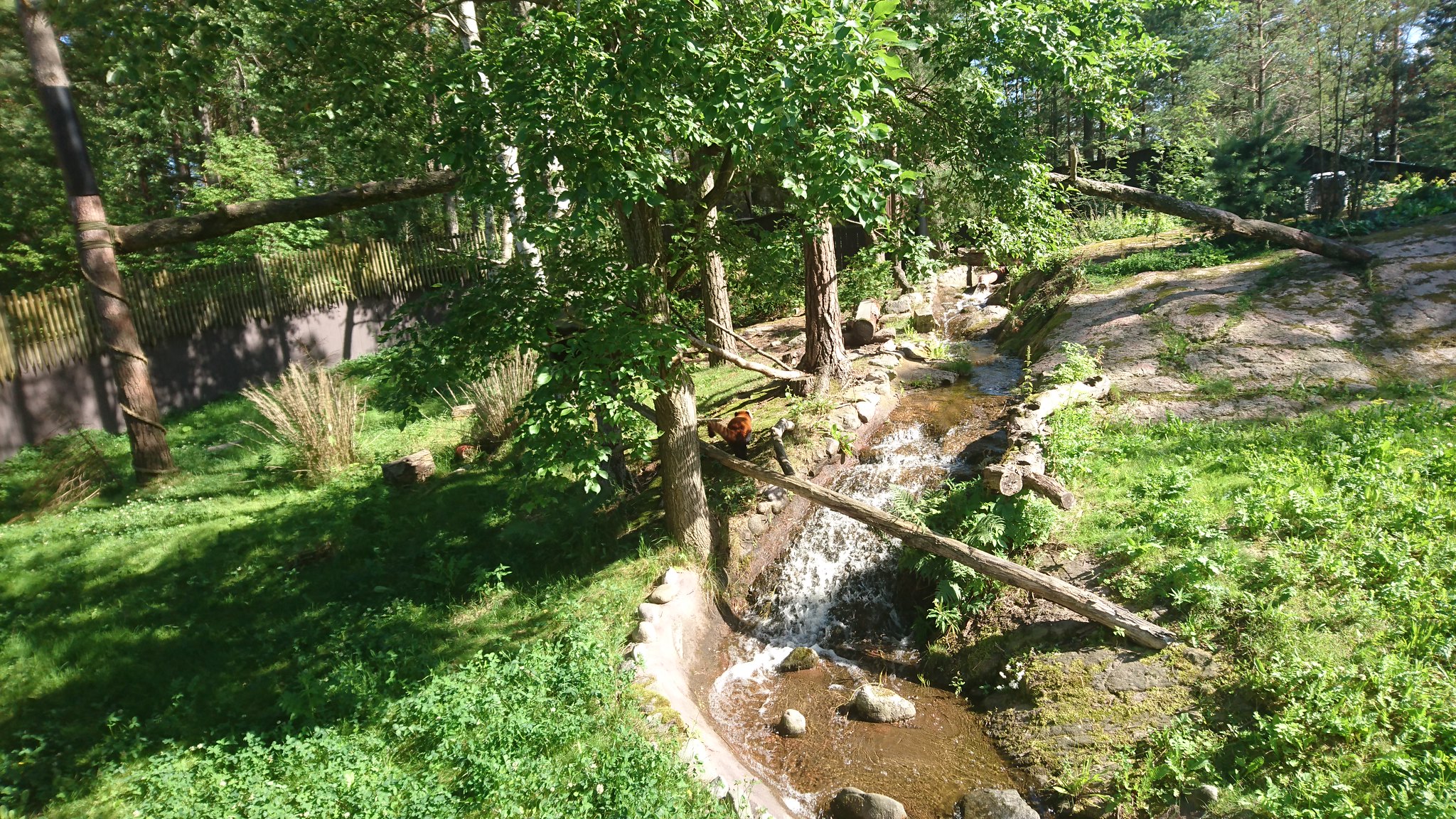 28861888181_875e79305d_k.jpg