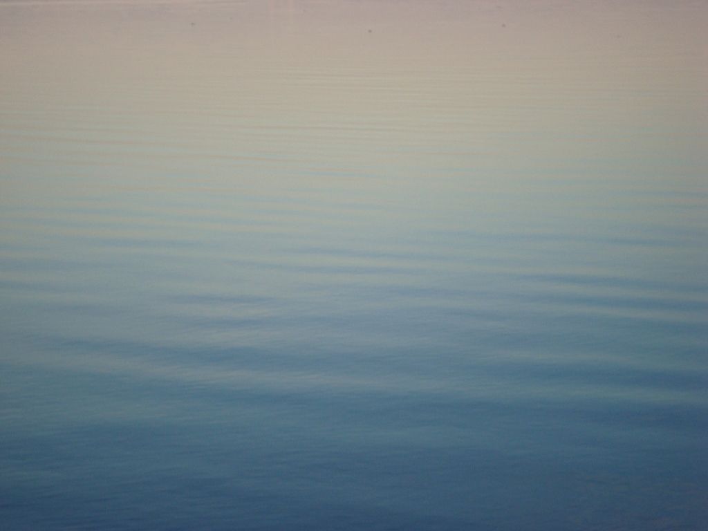 DSC00362.jpg