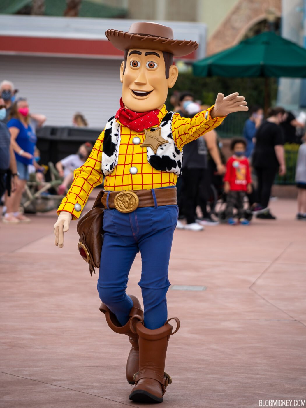 toy-story-woody-1-1050x1400.jpg