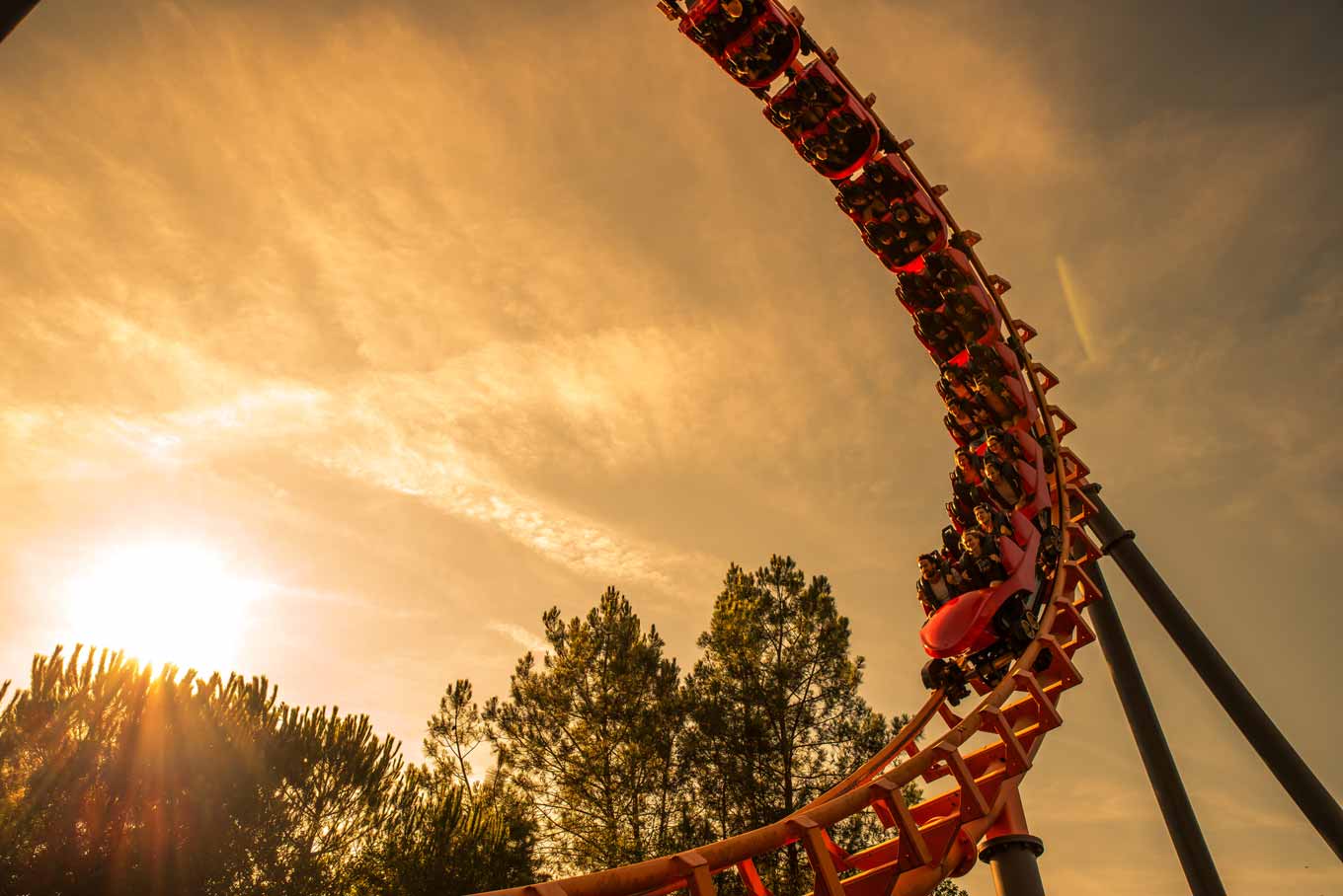 www.oakwoodthemepark.co.uk