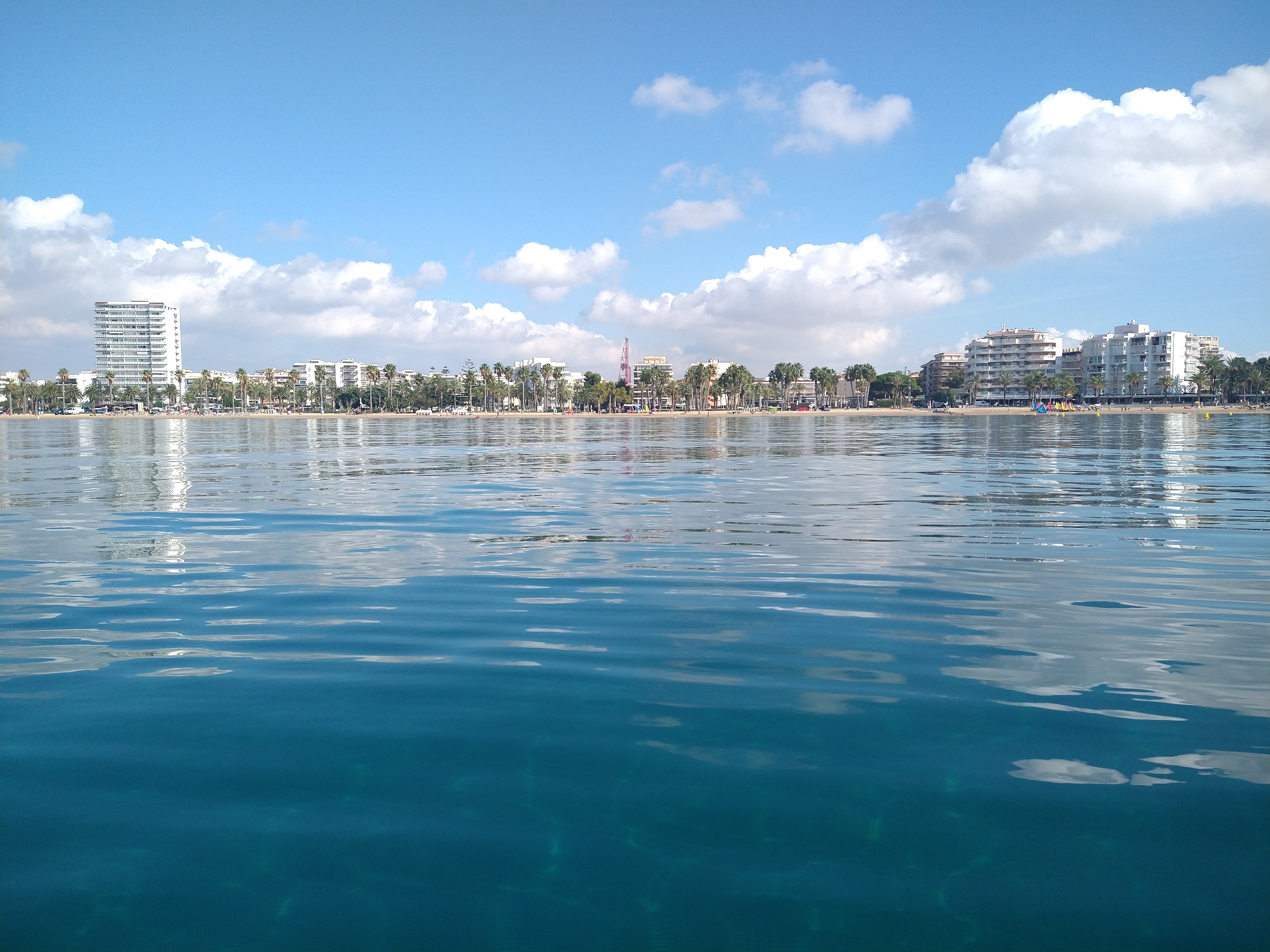 IMG-20211019-115550423.jpg