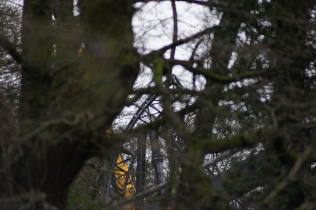 DSC02123_zps26b0bbce.jpg