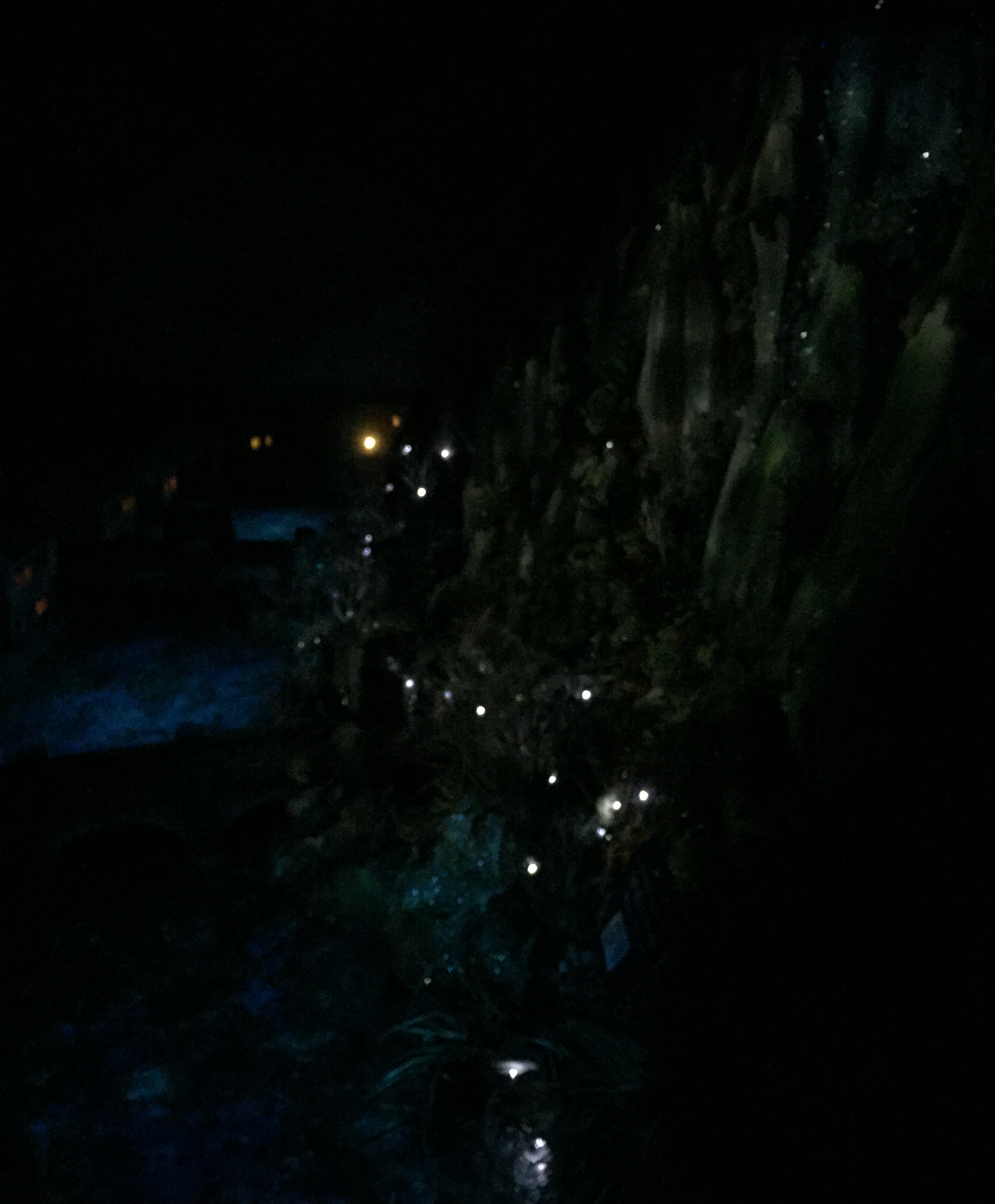 1-F83-B22-B-53-D8-4-C8-B-A76-B-31-ABFE7-F5624.jpg