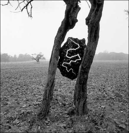 andy-goldsworthy-1.jpg