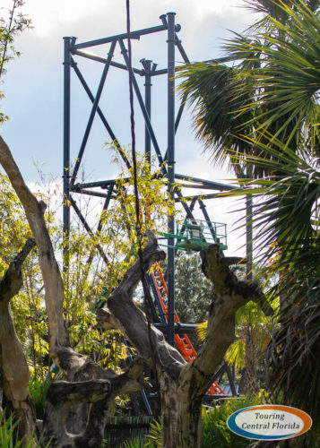 Busch-Gardens-Tampa-Tigris-Construction-Update-1-11-2019-007-357x500.jpg
